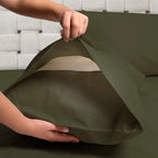 Μαξιλαροθήκες Σετ 2τμχ. Cannon Cotton Fresh 52X78 Beetle